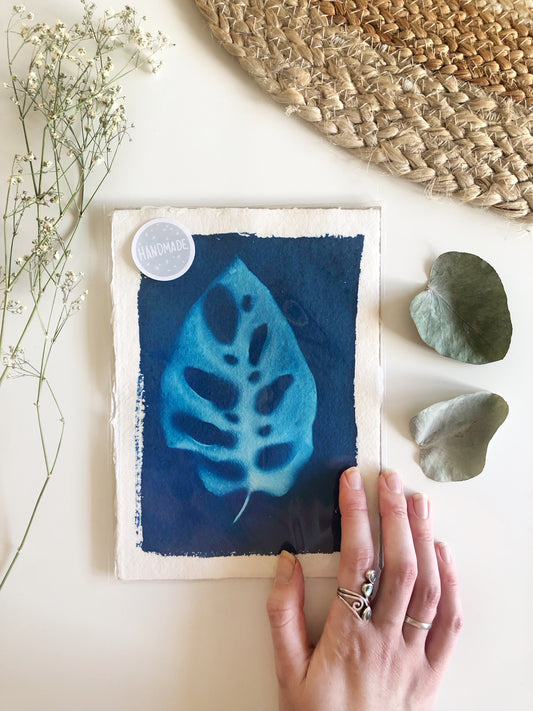 Monstera Leaf Cyanotype Print
