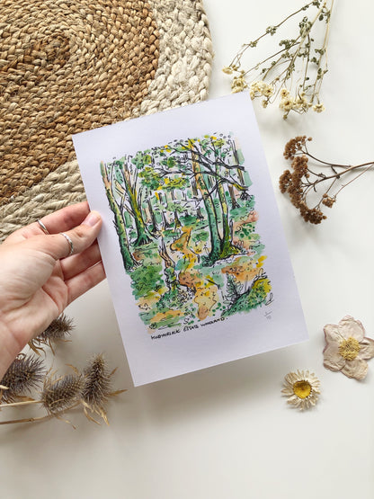 Forest Watercolour Illustration