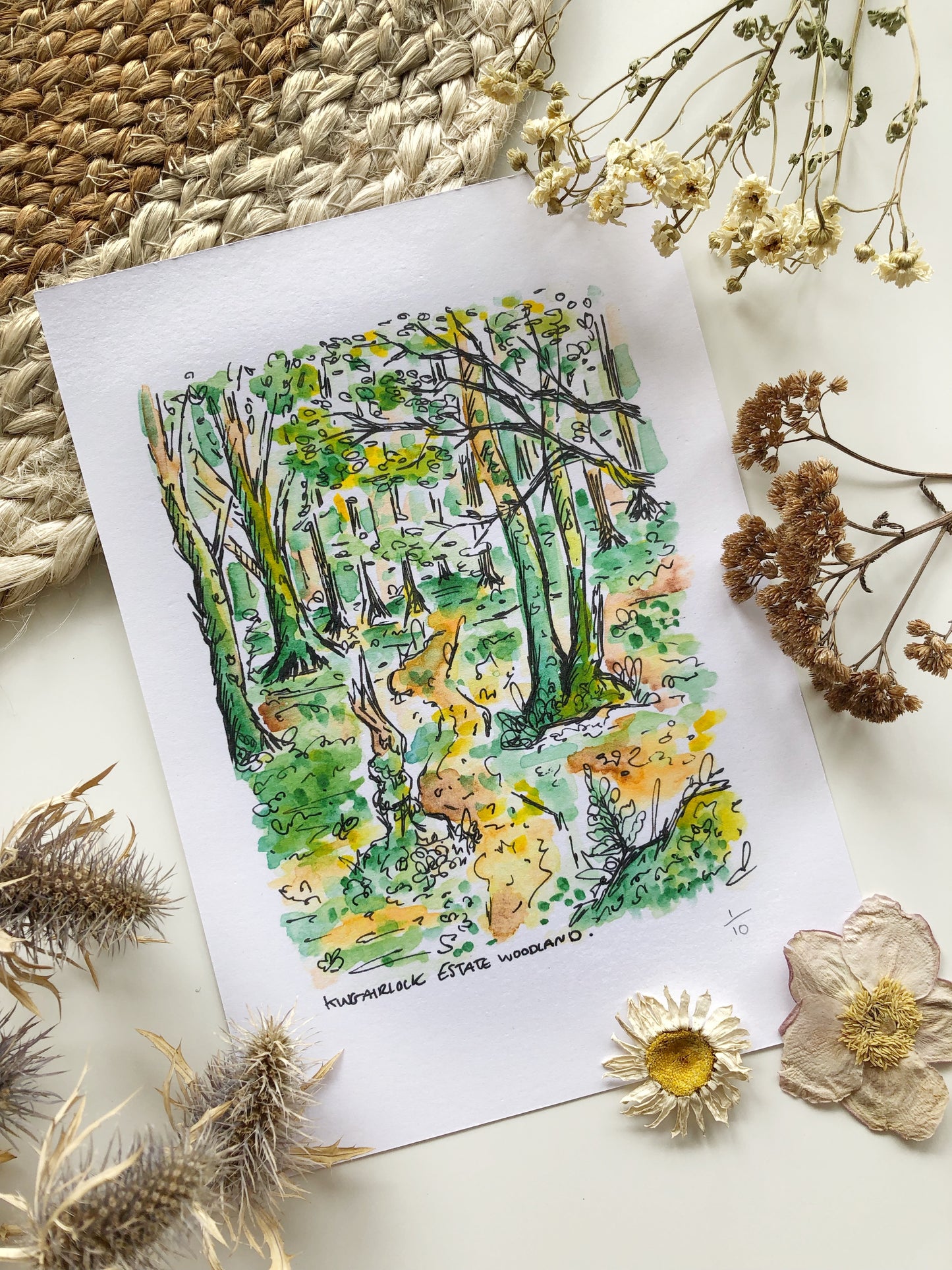 Forest Watercolour Illustration